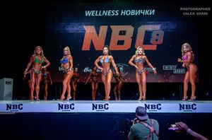WELLNESS НОВИЧКИ